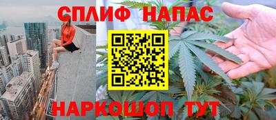 индика Тара