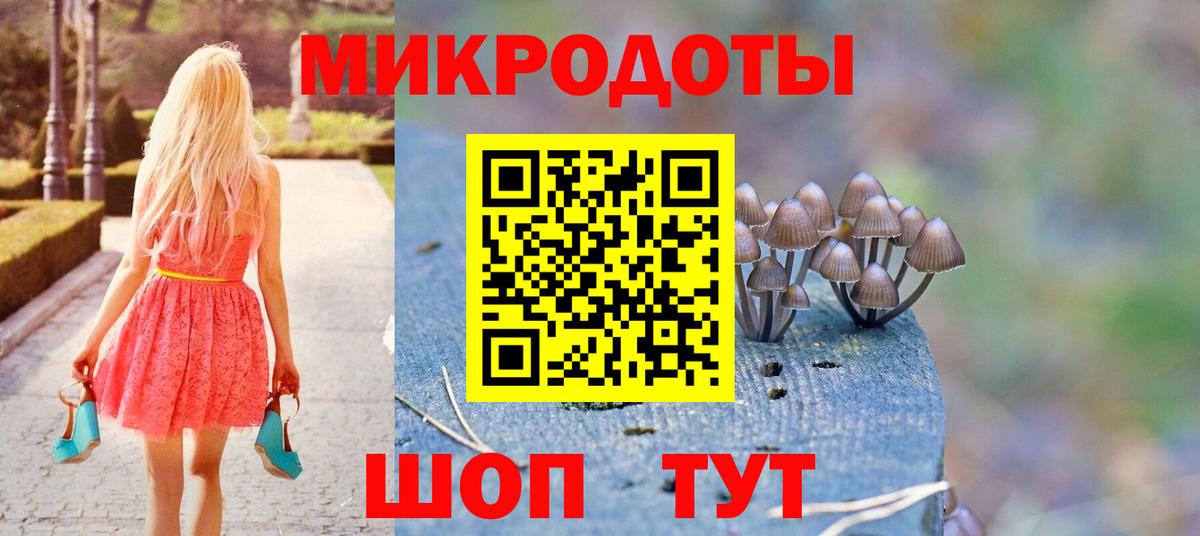 Псилоцибиновые грибы GOLDEN TEACHER  Вход с VPN  Нерюнгри 