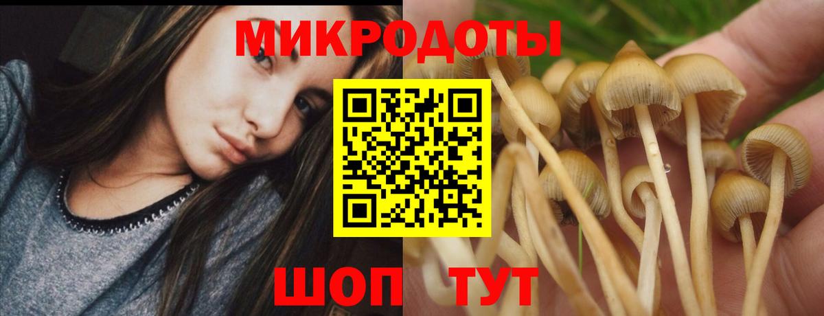 Галлюциногенные грибы мицелий Нерюнгри